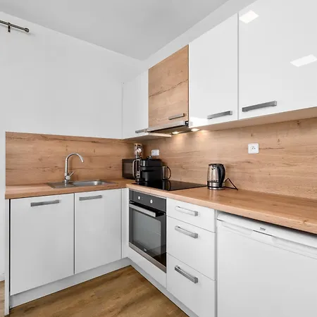 Lipno Lakeside 45 Apartment *