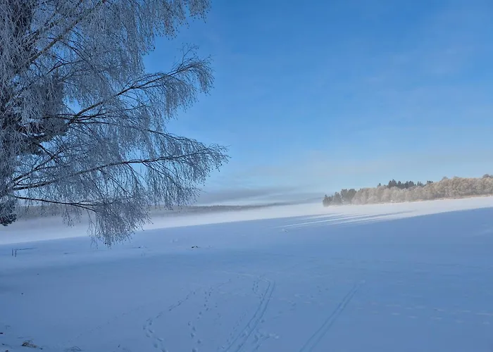 Lipno Lakeside 45