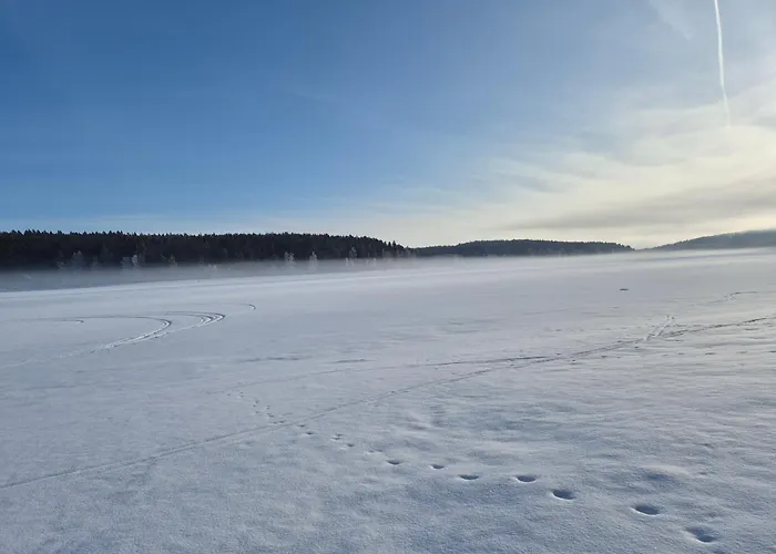 Lipno Lakeside 45 Frymburk